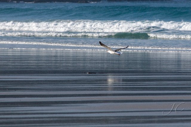 0114 Baie des Trepasses.jpg - SONY DSC